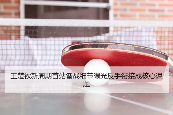 王楚钦新周期首站备战细节曝光反手衔接成核心课题
